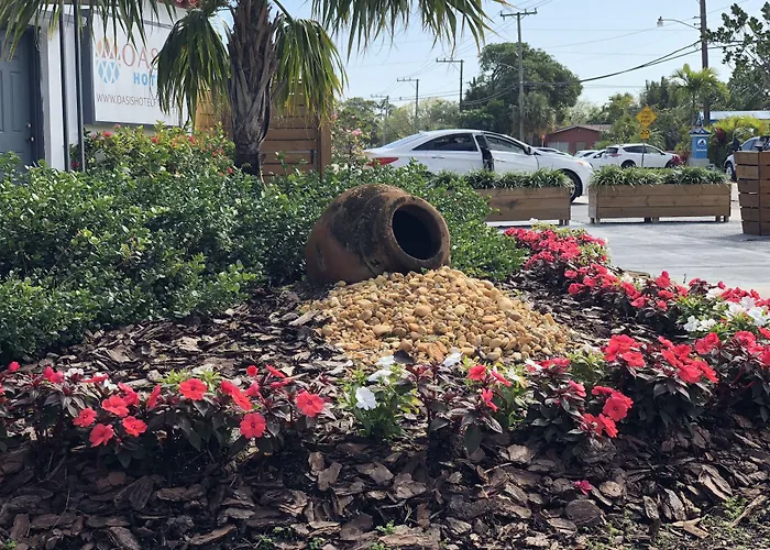 Oasis Hotel Fort Lauderdale